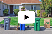 Learn about the single family curbside collection program